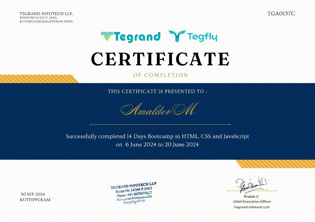 Tegfly 14 Days Bootcamp Certificate